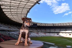 Mascote contribui para integração das equipes no Mineirão