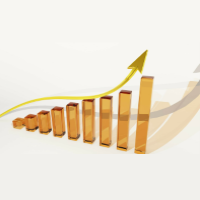 Apoio aos executivos e às empresas na retomada do crescimento econômico brasileiro